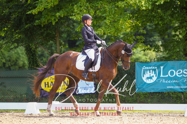 DKP40975 | Turniersportfotografie; Pferdefotografie; Dressurfotografie