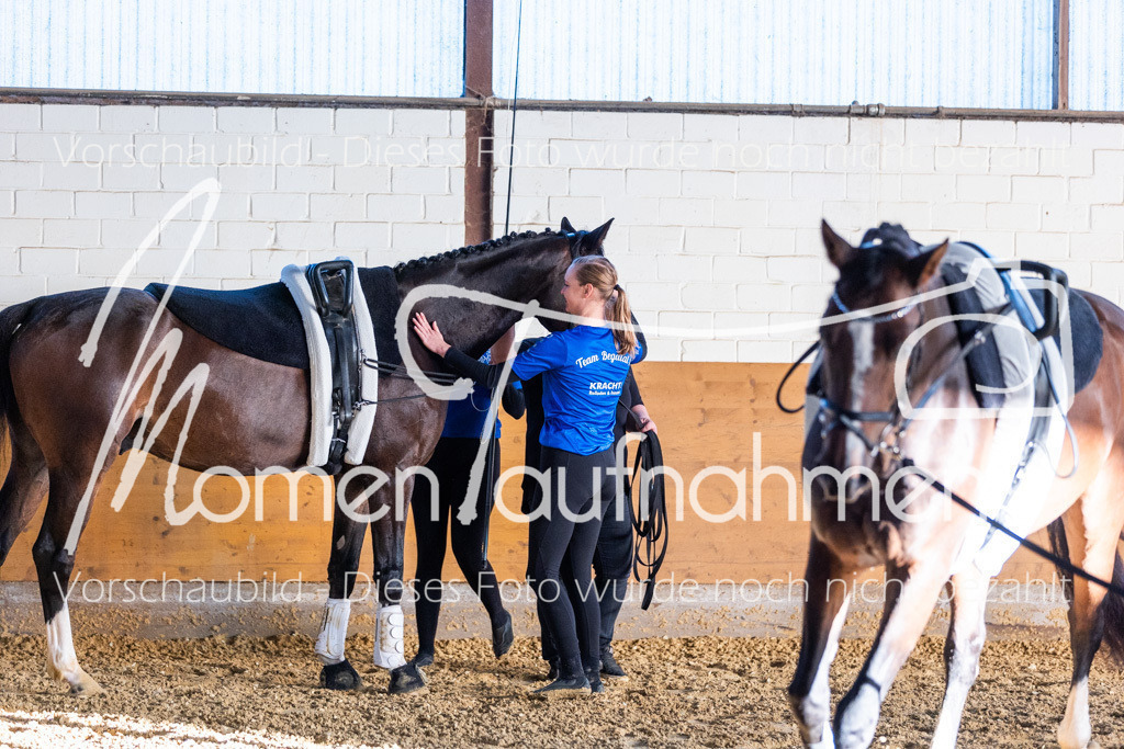 VTD-Voltigierpferde-055 | MomenTaufnahmen Pferdesportfotos