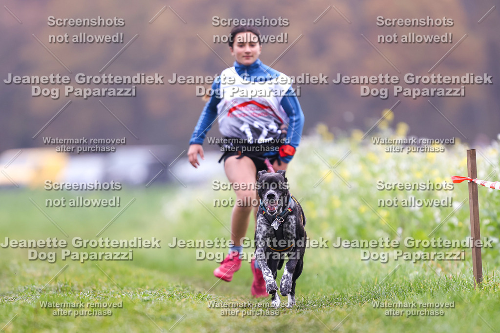 Dog Paparazzi - Visbeck 25 -336 | Dog Paparazzi Jeanette Grottendiek Fotografie & Videografie - Realisiert mit Pictrs.com