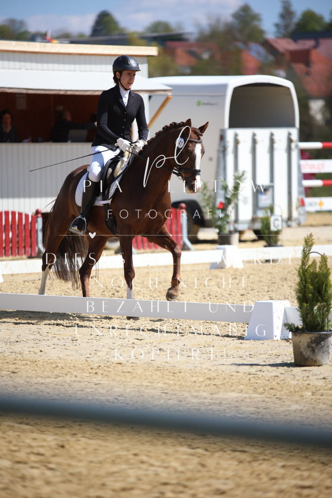 IMGT2517 | pl-fotografie