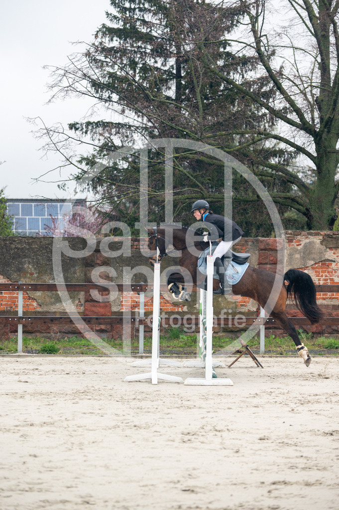 DSC_8457 | sattelsport - Realisiert mit Pictrs.com