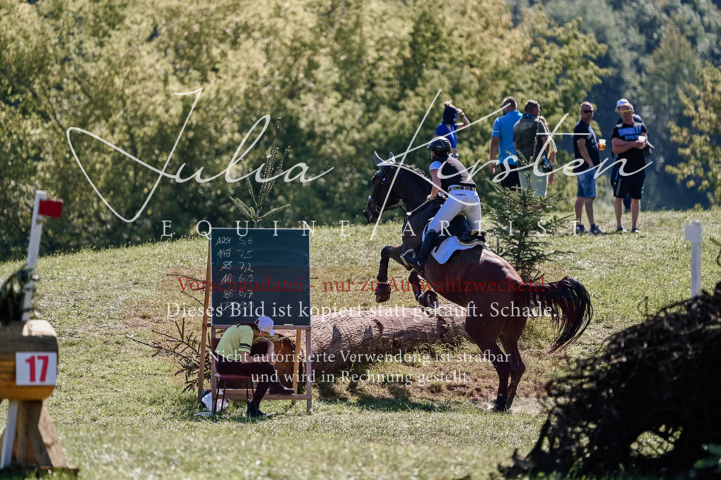 DSC_2720 | Pferde- und Turnierfotografie in Westsachsen. Pferdeportraits, Auftragszeichnungen und intuitive Kunst.