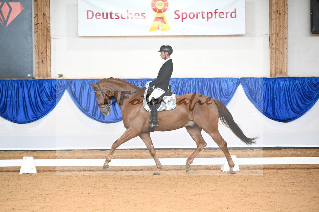 Kat-Nr. 161 Dante MH_Meschke_14240373 | hf-fotografie - Realisiert mit Pictrs.com