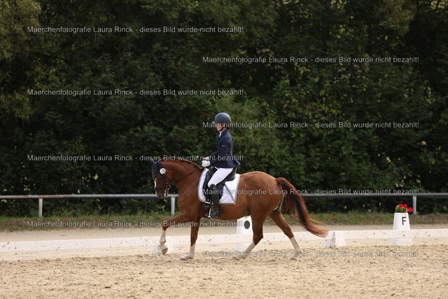 HG9A1193 | laurarinckfotografie - Realisiert mit Pictrs.com