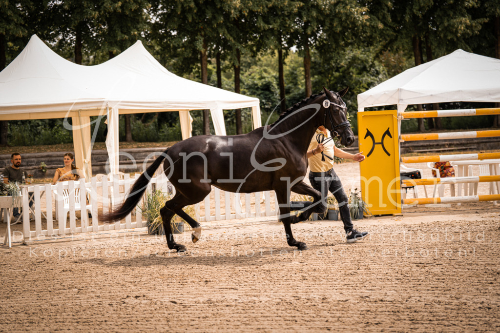 4.Fr00065 | Leoni Ertmer Photography - Realisiert mit Pictrs.com