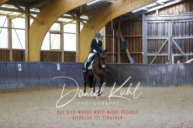 IMG_0142 | Turniersportfotografie; Pferdefotografie; Dressurfotografie