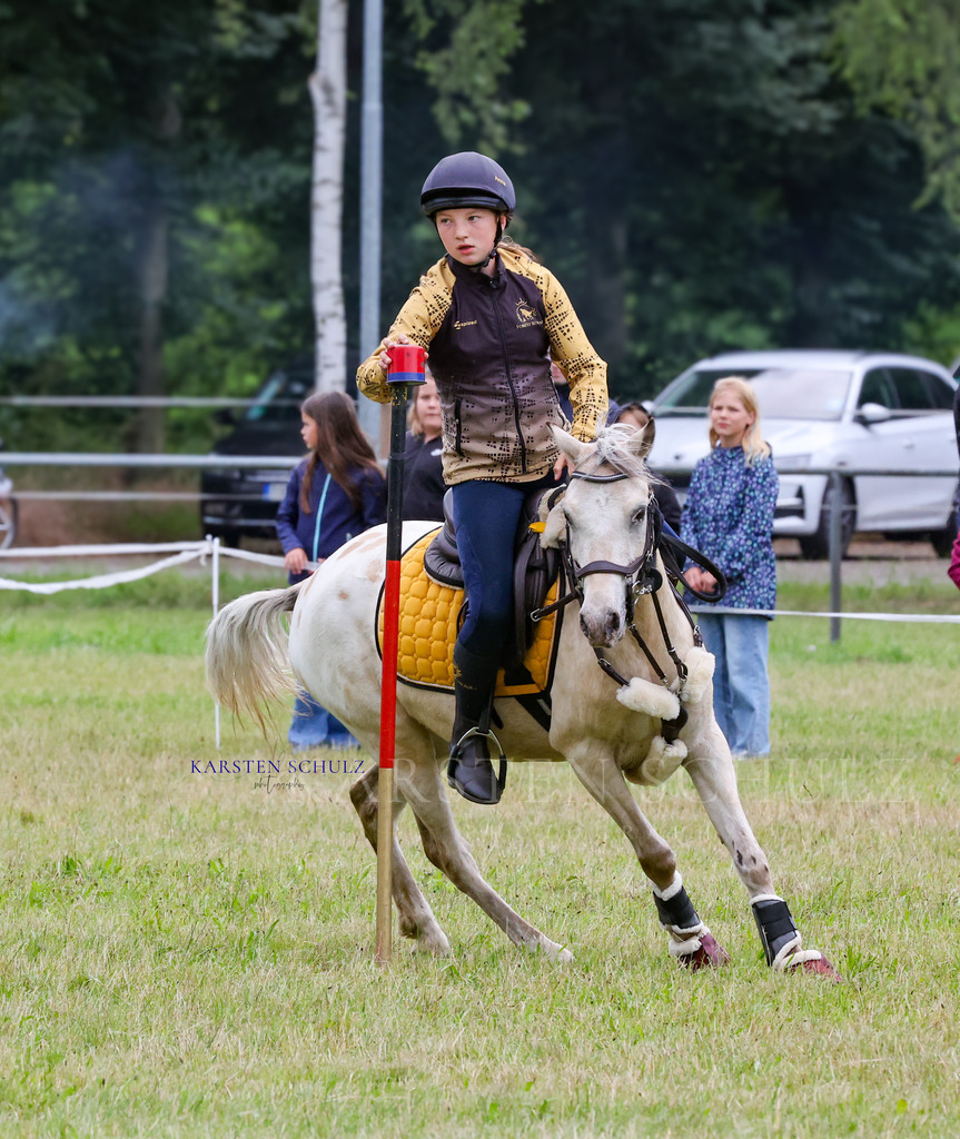 1B3A0136 | Reitsport Reiten