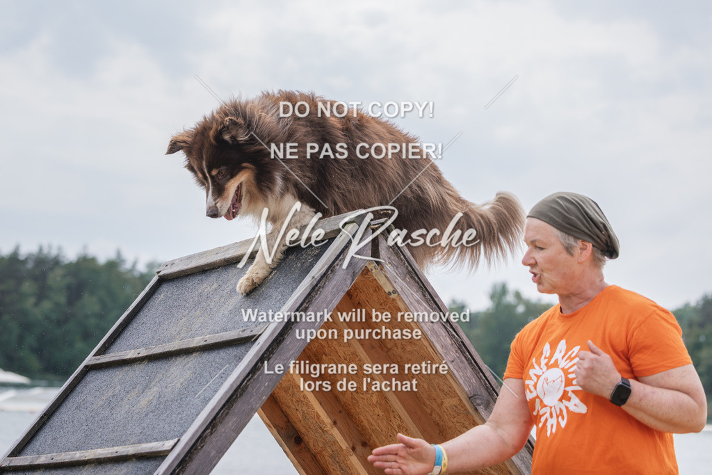 nelerasche_BuHu2026_So1530-Ende_132 | nelerasche