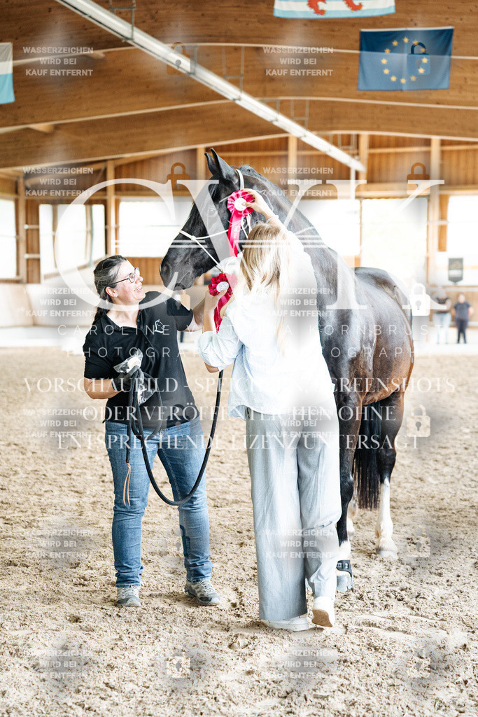 CK703290 | Turnierfotografie Pferdefotografie Trier Rheinland-Pfalz Pferdesport Reitsport Tierfotografie Sportfotografie Pferdevideo Pferdevideografie Equestrianvideography equestrianphotography  - Realisiert mit Pictrs.com