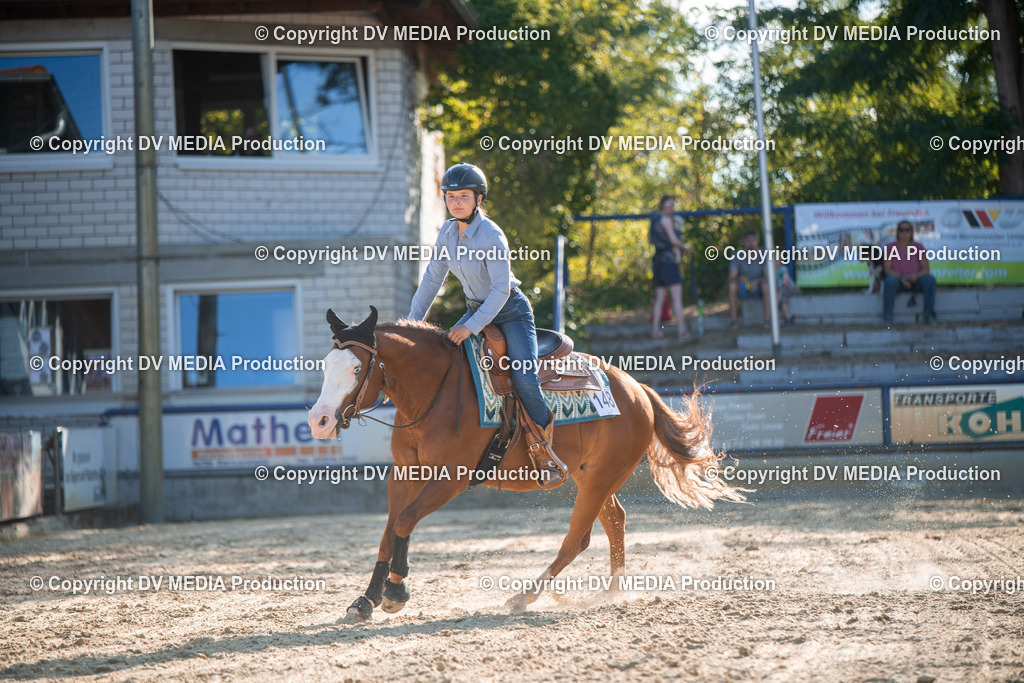 EWP_7113 | dv-media-shop - Realisiert mit Pictrs.com