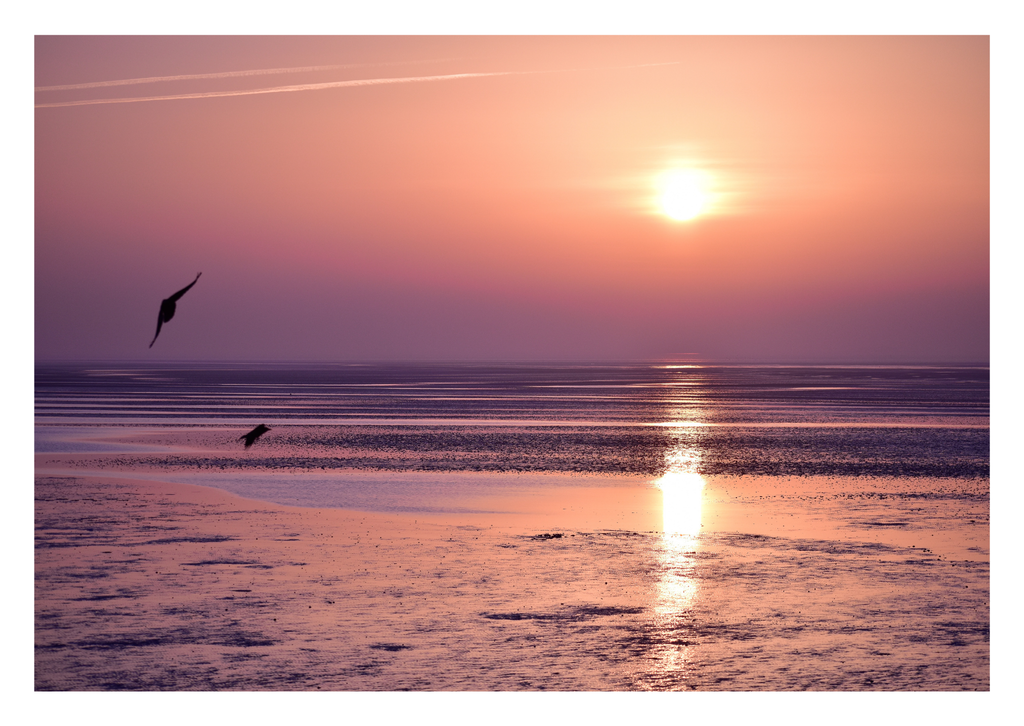 Motiv 56 | Eilun-Art-Fotografie Levke Martens, ihre Fotografin für Immobilien- und Landschaftsfotografie auf Föhr, Föhrer Motive als Poster, Leinwand, hinter Acrylglas oder stelle dir deinen eigenen Monatskalender zusammen, mit nur einem Klick