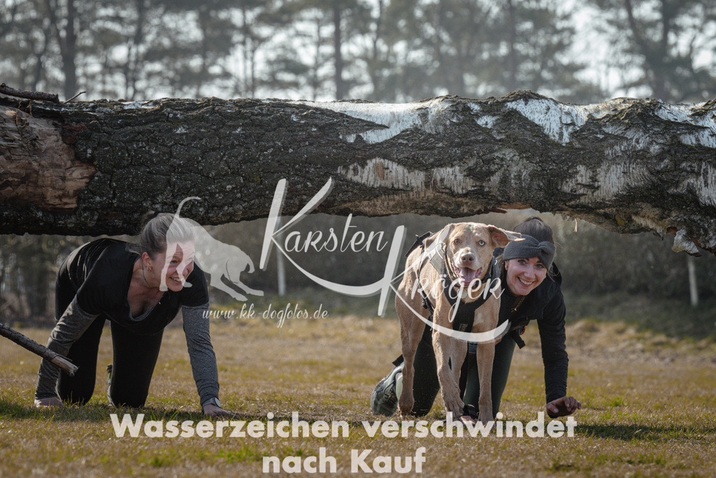 1106_ZZ94636 | kk-dogfotos