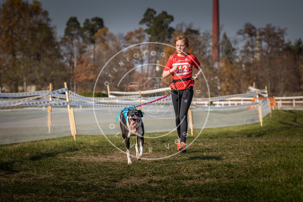 CaniXpix_0L8A9432 | Hundefotografie, Tierfotograf, Pfotenfotografie, Fotoshooting Hund, Hunde Portrait, Hundesport, Hundeportraits, Heideshooting, Hunde, Sportfotograf, Hundefotograf, Turnierhundsport, THS,  - Realisiert mit Pictrs.com