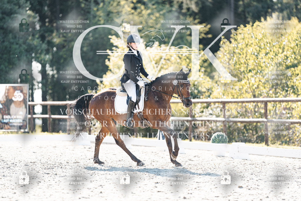 CK906269 | Turnierfotografie Pferdefotografie Trier Rheinland-Pfalz Pferdesport Reitsport Tierfotografie Sportfotografie Pferdevideo Pferdevideografie Equestrianvideography equestrianphotography  - Realisiert mit Pictrs.com