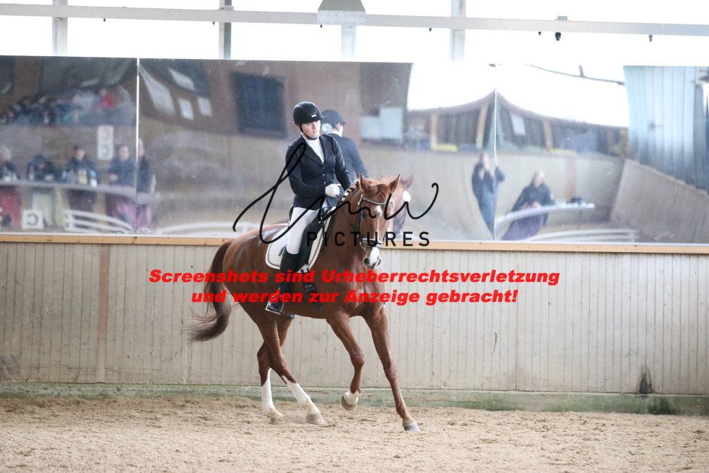 IMG_7765 | lmwpictures - Realisiert mit Pictrs.com