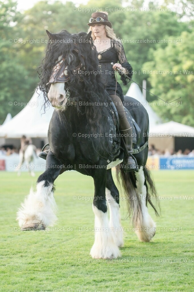 20230526_Pferdenacht_0313 | equistock