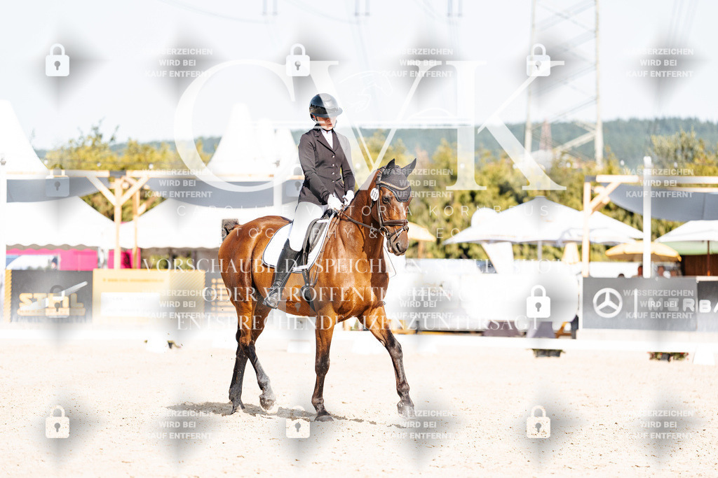 CK905687 | Turnierfotografie Pferdefotografie Trier Rheinland-Pfalz Pferdesport Reitsport Tierfotografie Sportfotografie Pferdevideo Pferdevideografie Equestrianvideography equestrianphotography  - Realisiert mit Pictrs.com