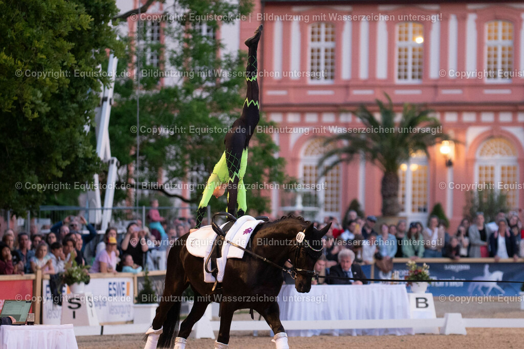 20230527_Voltigieren_NASPA_Flutlicht_0384 | equistock