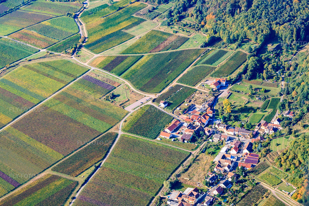 Luftbild: Andergasse im Ortsteil Diedesfeld in Neustadt im Bundesland Rheinland-Pfalz in Deutschland. Foto: IMG_22099.jpg vom 15.10.2009 durch Werner Riehm/FLY-FOTO.de