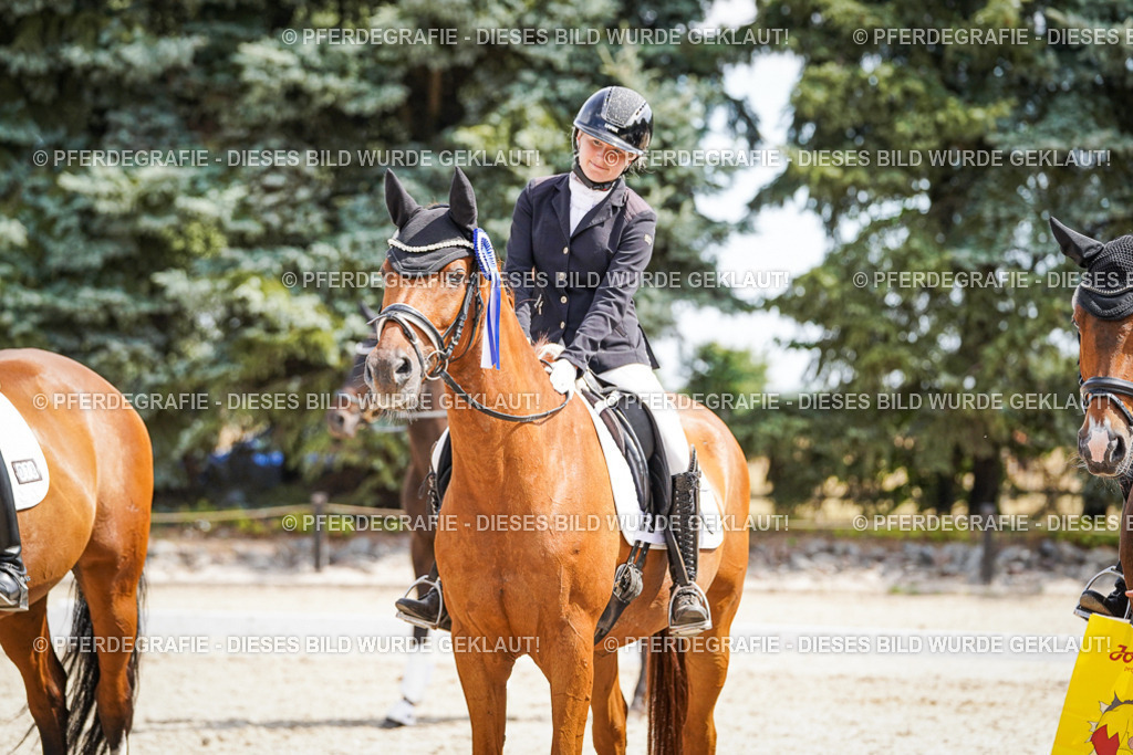 DSC02265 | Pferdegrafie