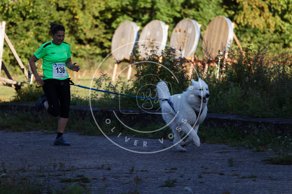 0L8A4814 | Hundefotografie, Tierfotograf, Pfotenfotografie, Fotoshooting Hund, Hunde Portrait, Hundesport, Hundeportraits, Heideshooting, Hunde, Sportfotograf, Hundefotograf, Turnierhundsport, THS,  - Realisiert mit Pictrs.com