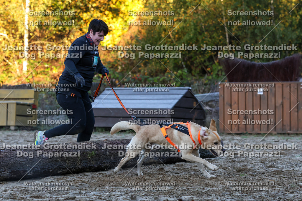 Dog Paparazzi - Strongdog 10-25-448 | Dog Paparazzi Jeanette Grottendiek Fotografie & Videografie - Realisiert mit Pictrs.com