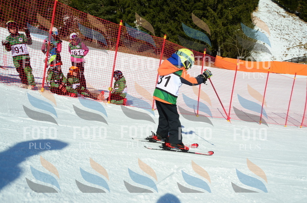 C4899 | holidayphoto