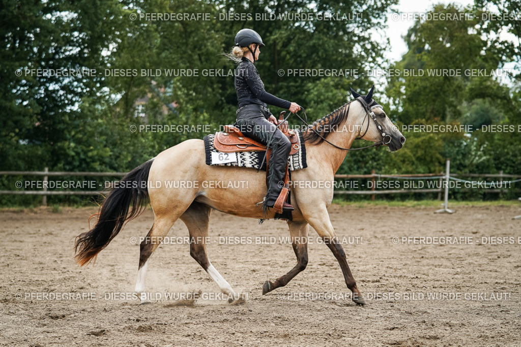 DSC03728 | Pferdegrafie