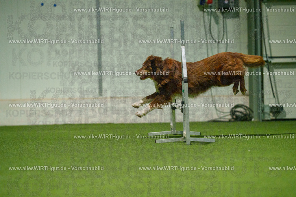 7R509073 | Professionelle Tierfotografie in Mönchengladbach von Daniel Wirth (allesWIRTHgut). Liebevolle & natürliche Bilder von Hunden & Katzen für unvergessliche Erinnerungen.