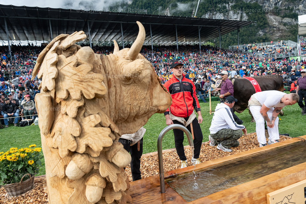 Schwingen -  ESAF 2025 Samstag | Mollis, 30.8.25, Schwingen - ESAF Samstag.