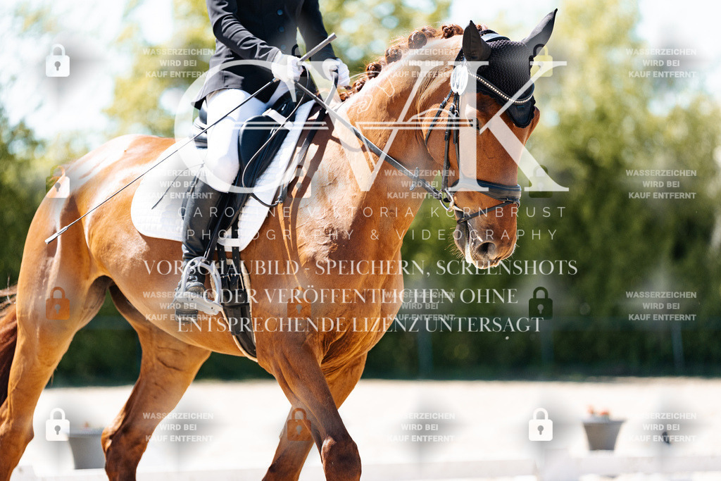 CK905761 | Turnierfotografie Pferdefotografie Trier Rheinland-Pfalz Pferdesport Reitsport Tierfotografie Sportfotografie Pferdevideo Pferdevideografie Equestrianvideography equestrianphotography  - Realisiert mit Pictrs.com