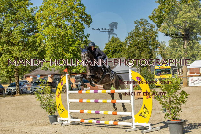 26-7-24 SPF M+-83 | mandyhollmannphotographie
