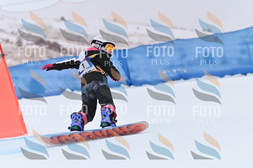 BGV_3517 | holidayphoto