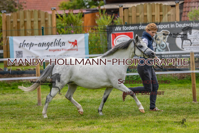 IG WELSH VM 2024-465 | mandyhollmannphotographie