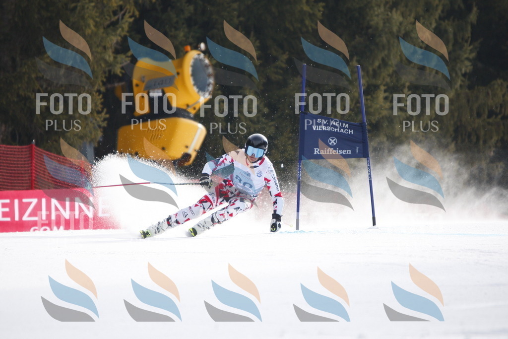 D6006 | holidayphoto