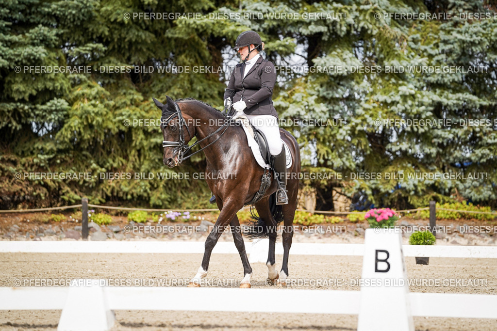 DSC05562 | Pferdegrafie