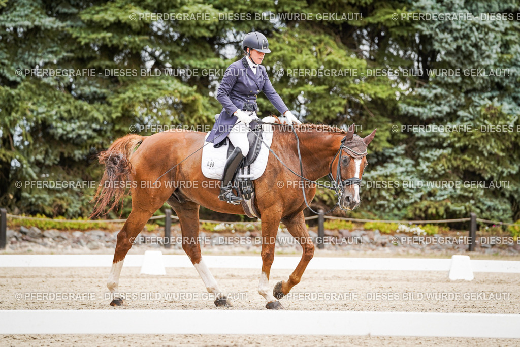 DSC04951 | Pferdegrafie