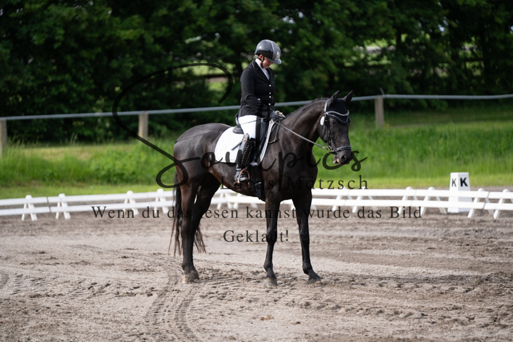 A7V03693 | Pferdefotograf