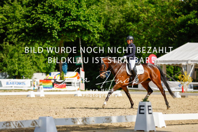 _62_2779 | larahueckfotografie