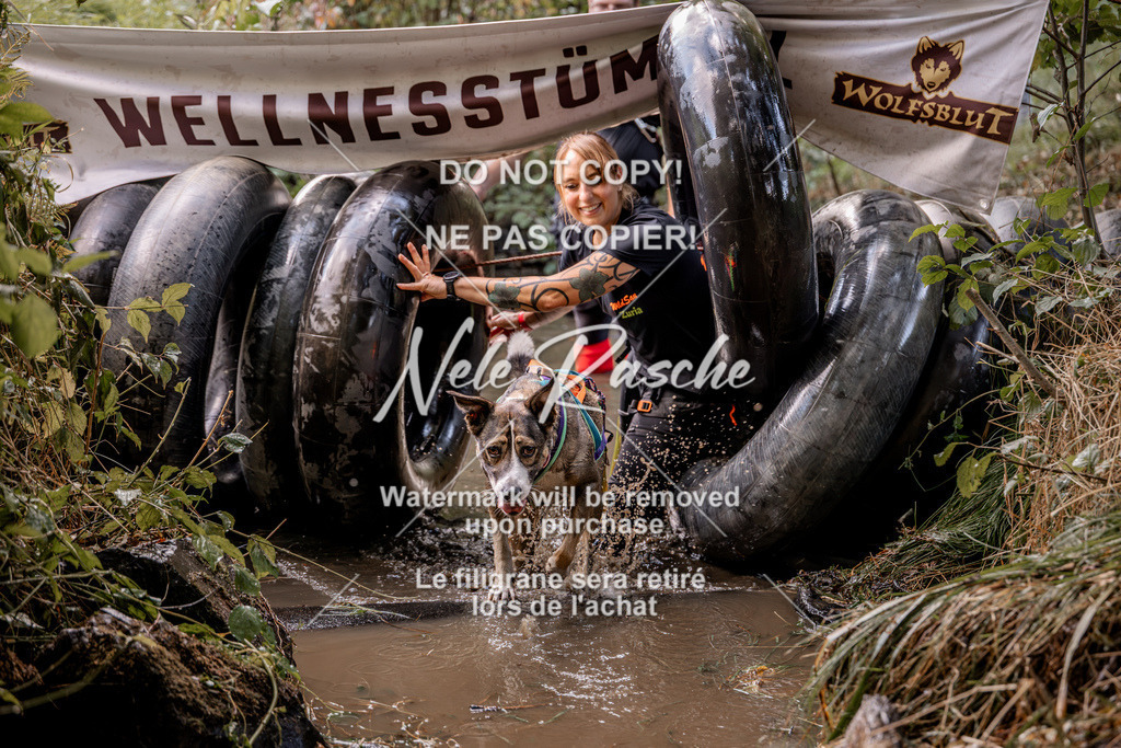 nelerasche_Hunsrück2026_Sa1400-1500_183 | nelerasche