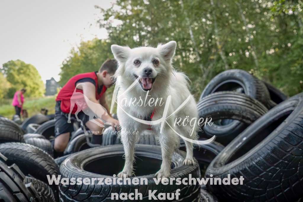 1032_ZZ94756-Bearbeitet-2 | kk-dogfotos