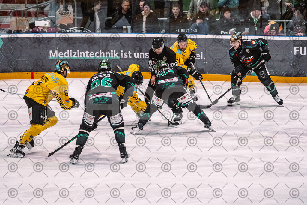 Alligators_vs_Bayreuth_16_01_2026-41 | Höchstadt Alligators Fotogalerie: Eishockey-Action aus Franken. Professionelle Spielfotos, Portraits & Stadionbilder zum Download. Jetzt entdecken! - Realisiert mit Pictrs.com