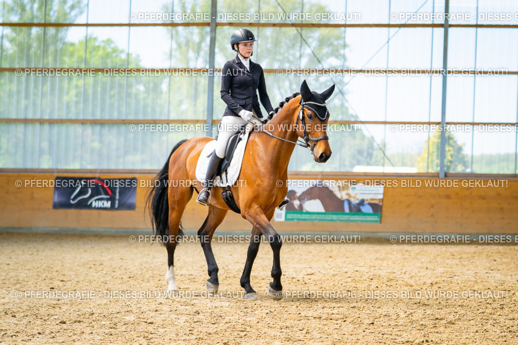 DSC09209 | Pferdegrafie