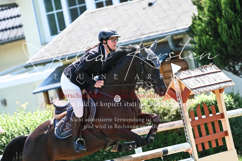 DSC_0217 | Pferde- und Turnierfotografie in Westsachsen. Pferdeportraits, Auftragszeichnungen und intuitive Kunst.