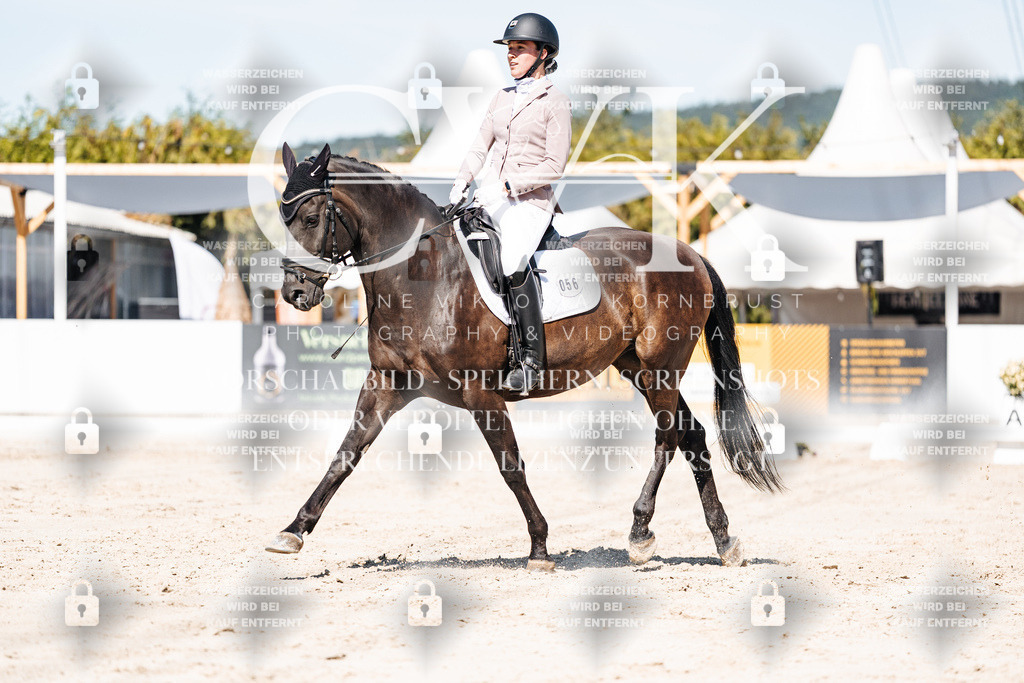 CK909397 | Turnierfotografie Pferdefotografie Trier Rheinland-Pfalz Pferdesport Reitsport Tierfotografie Sportfotografie Pferdevideo Pferdevideografie Equestrianvideography equestrianphotography  - Realisiert mit Pictrs.com