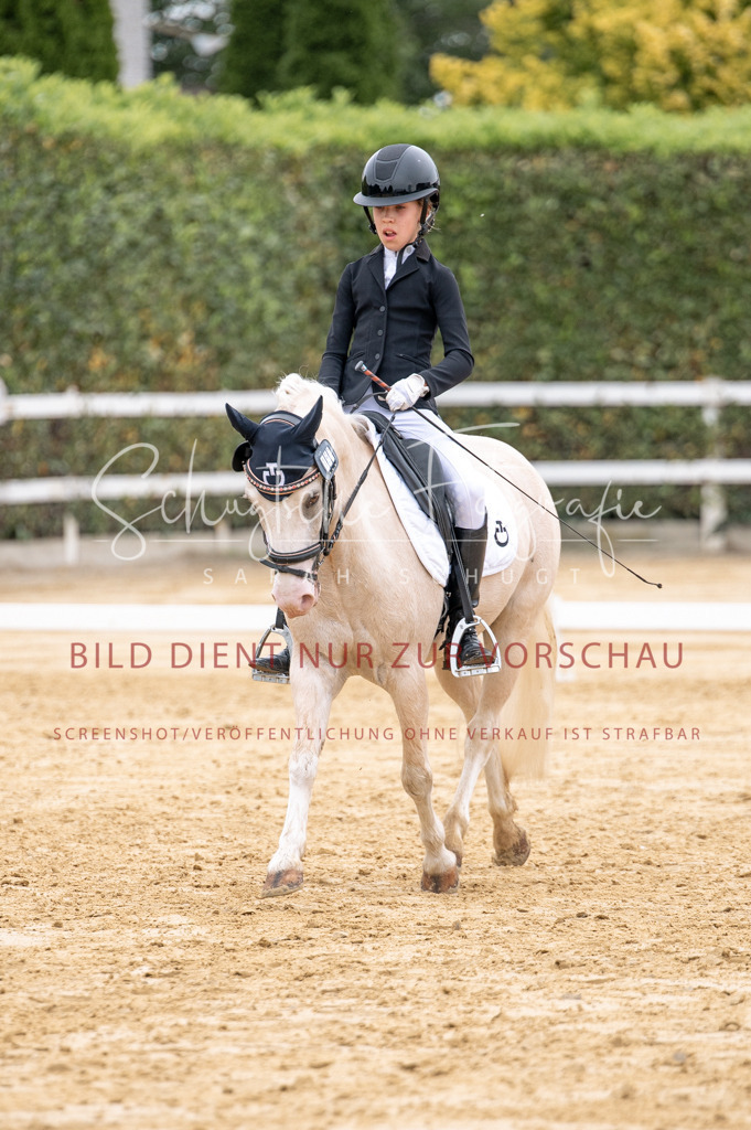 Schugtsche-Aluta25-40.DressurprfA_-478 | Schugtsche Fotografie - Realisiert mit Pictrs.com
