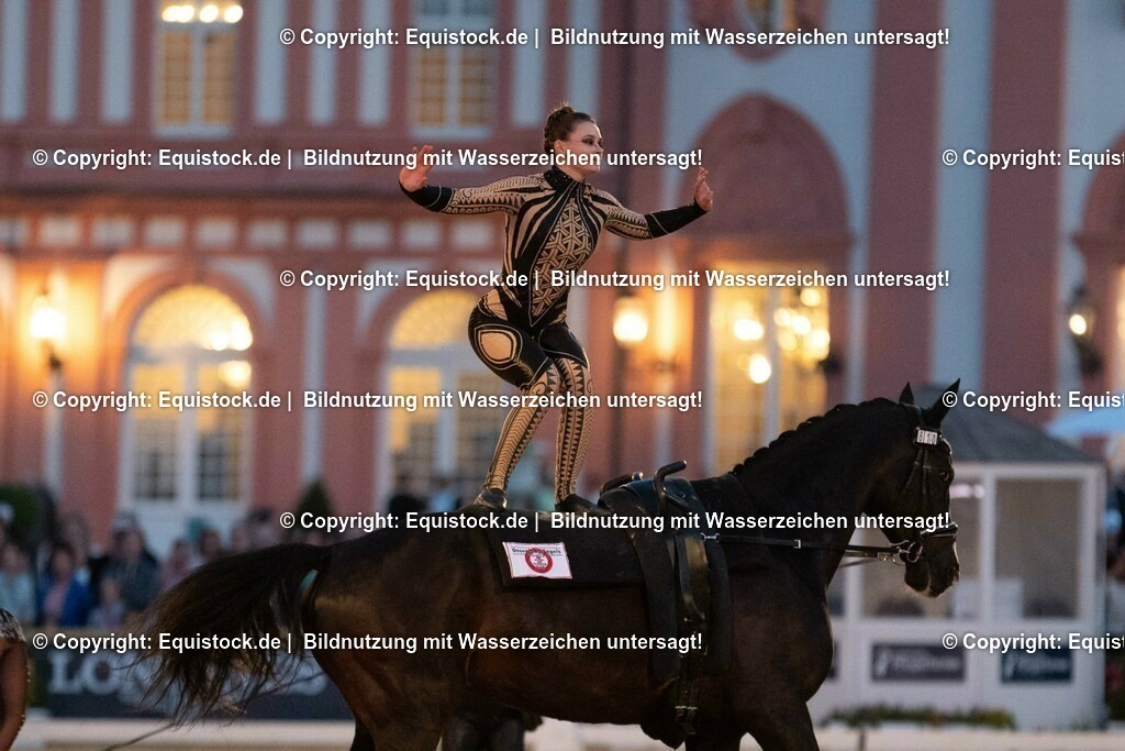 20230527_Voltigieren_NASPA_Flutlicht_0538 | equistock