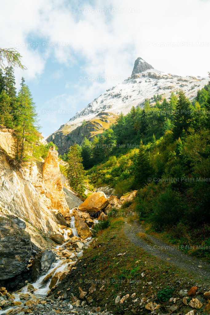 Divers_Erlebnisraum_Wald_23_Peter_Maier-762 | piet_flosse
