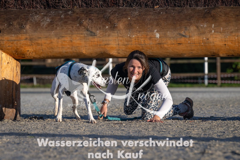 0911-92955 | kk-dogfotos