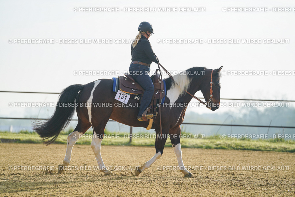 DSC09854 | Pferdegrafie